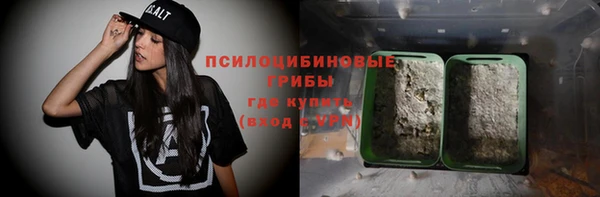 jwh Бородино