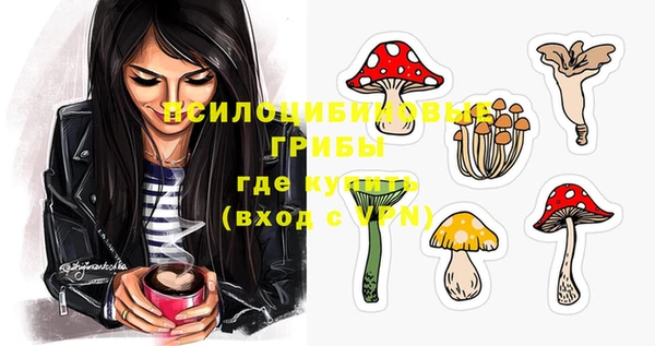 jwh Бородино