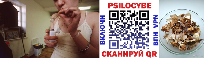 наркота  Далматово  Галлюциногенные грибы мухоморы 
